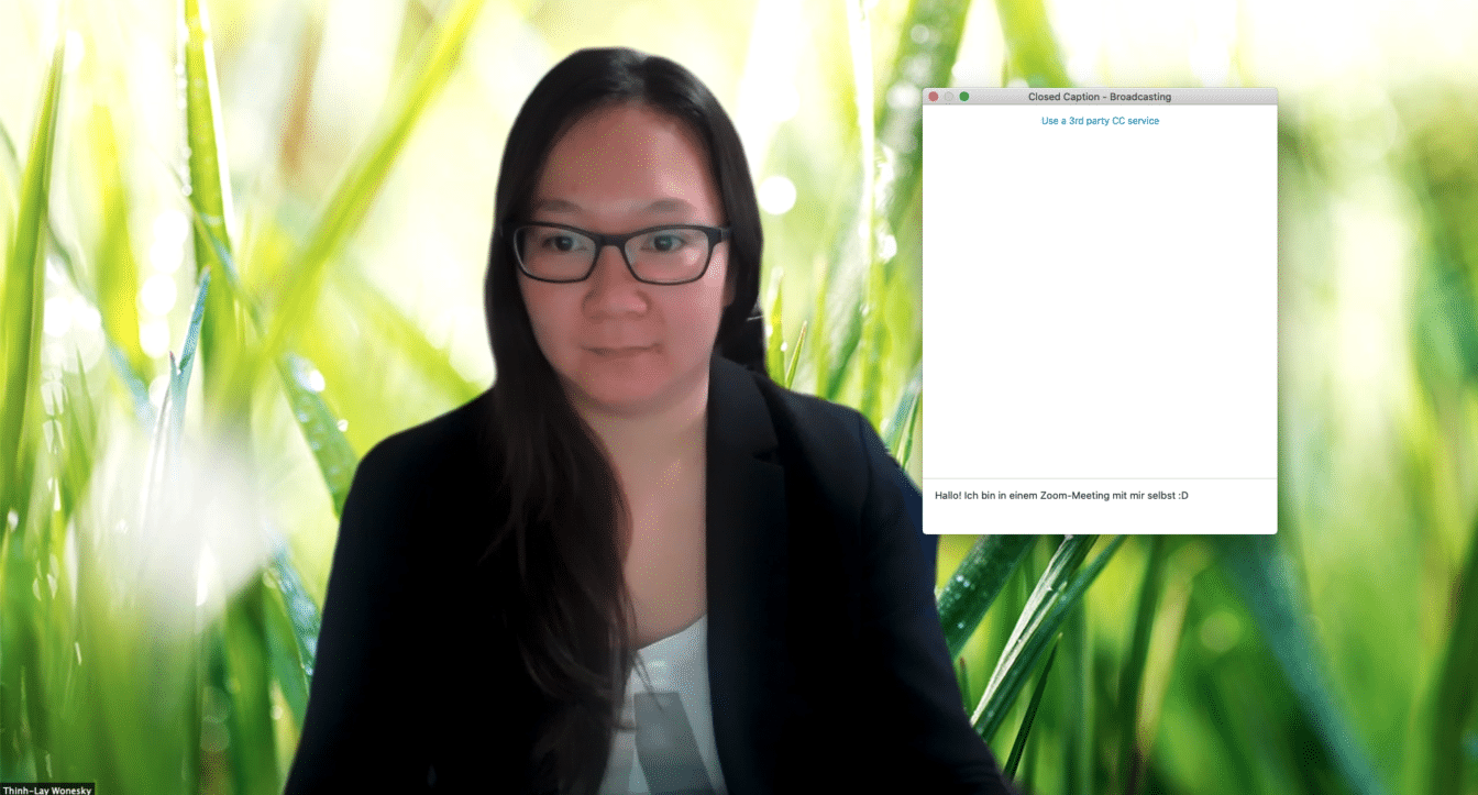 How accessible is Zoom? Allerlay Wonesky Media